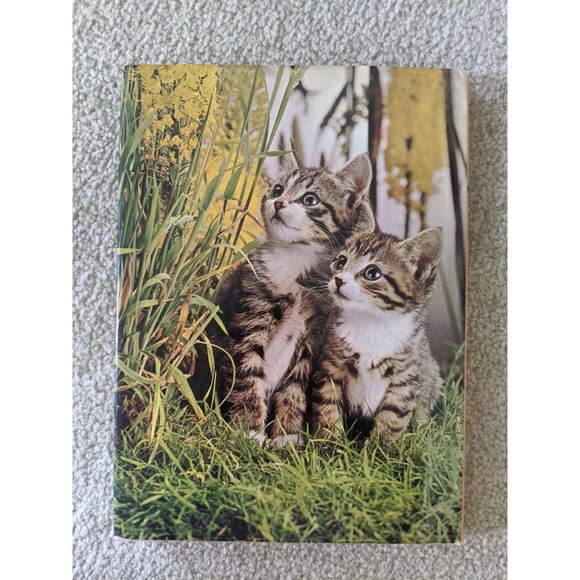The Treasury of Kittens by Marjorie Hudson (1973) Vintage Hardcover Book - Picture 7 of 7